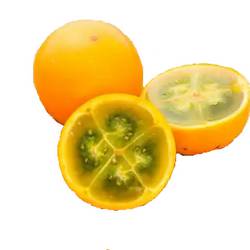 Le lulo, fruit orange aussi appelé naranjilla