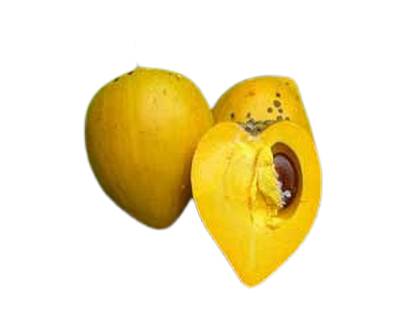 Egg Fruit
