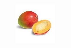 Mangue tropicale juteuse, fruit en M par excellence