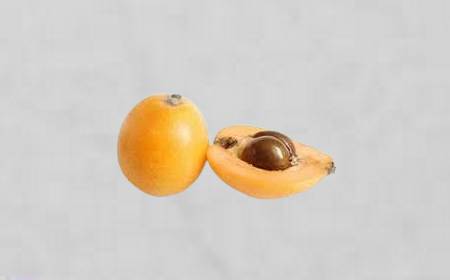Grappe de nèfles du Japon mûres sur une branche, montrant leur couleur orangée