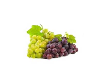 Raisin