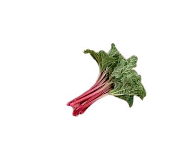 Rhubarbe