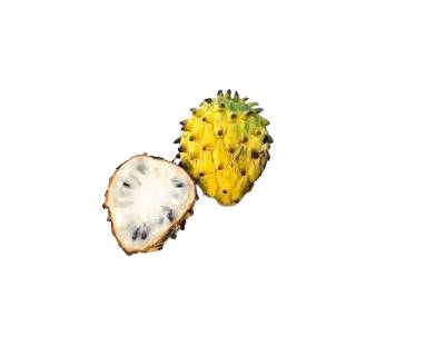 Rollinia